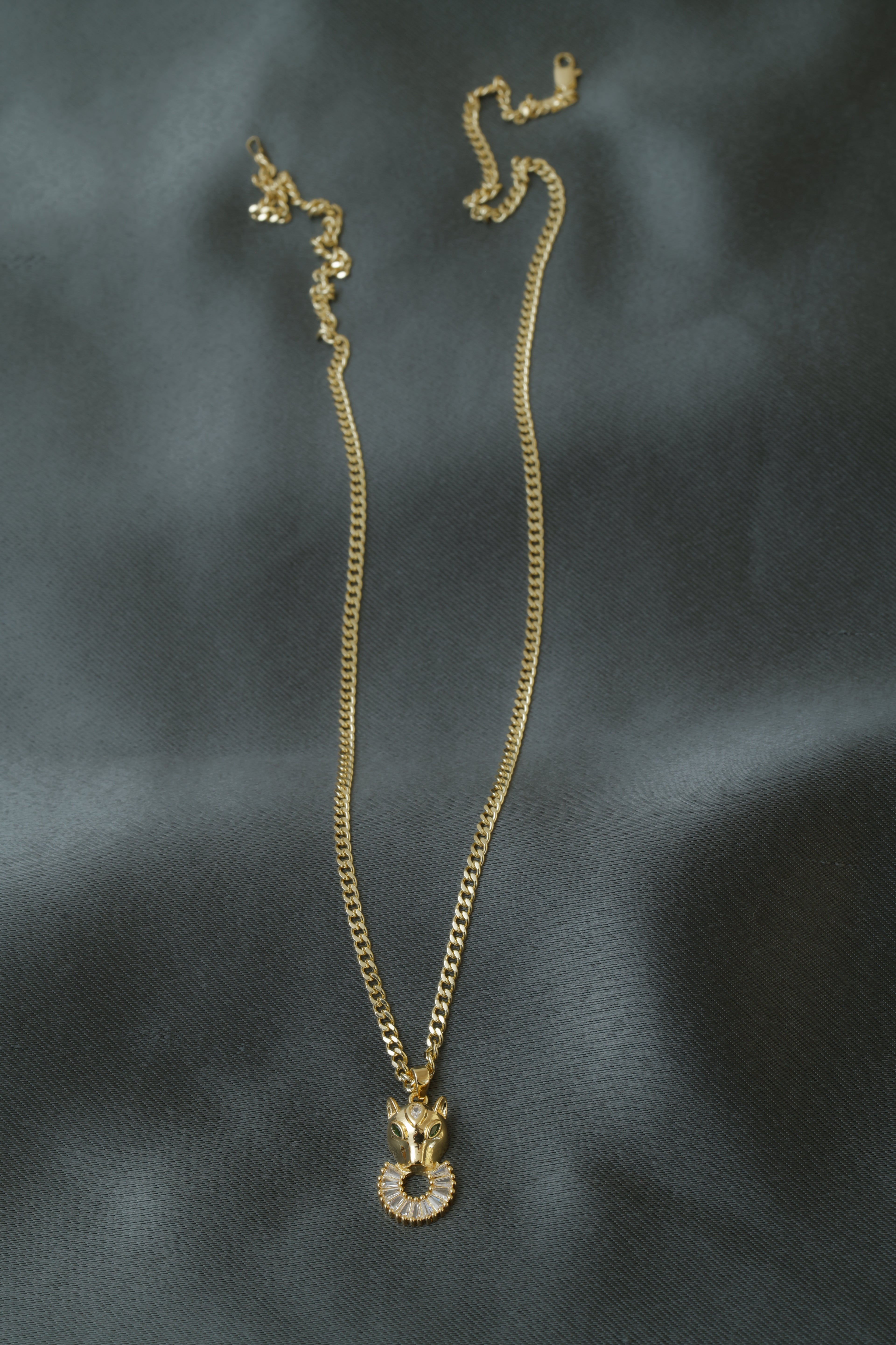 VARSE ME PANTERE ME GURE