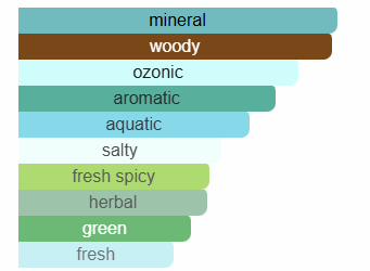 Valentino Uomo Born in Roma