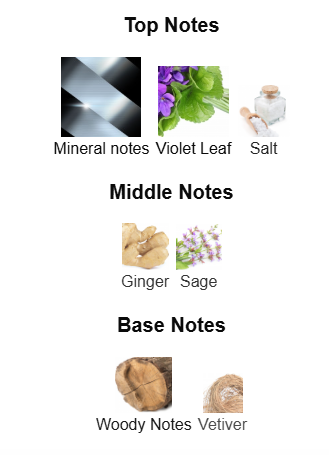 Valentino Uomo Born in Roma